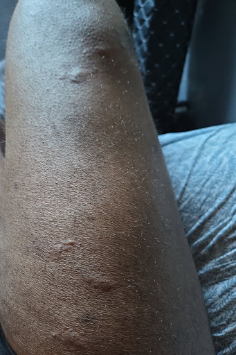 Photo of Naf Naf Grill - 1001 TN-76, White House, TN 37188