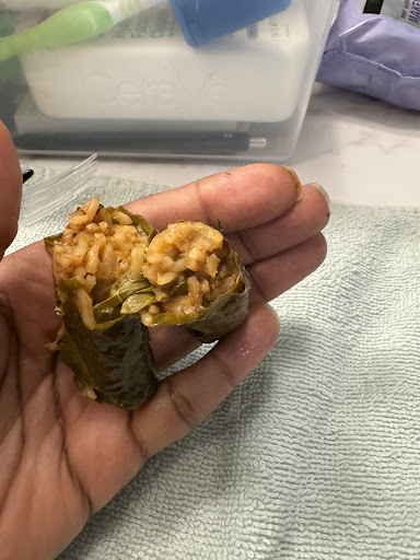 Photo of Master Falafel - 519 Monroe Ave, Rochester, NY 14607