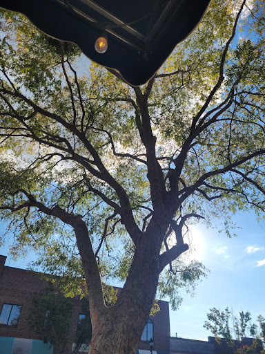 Photo of Nil's Mediterranean Cuisine - 513 Broad St, Fuquay-Varina, NC 27526