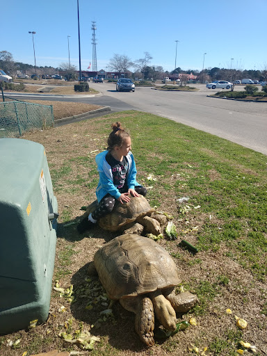 Photo of Arby's - 2709 Dick Pond Rd, Myrtle Beach, SC 29575