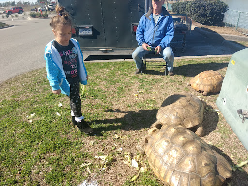 Photo of Arby's - 2709 Dick Pond Rd, Myrtle Beach, SC 29575