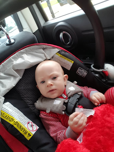 Photo of Arby's - 2709 Dick Pond Rd, Myrtle Beach, SC 29575