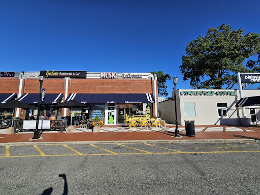 Photo of taïm mediterranean kitchen - 397 S Oyster Bay Rd, Plainview, NY 11803