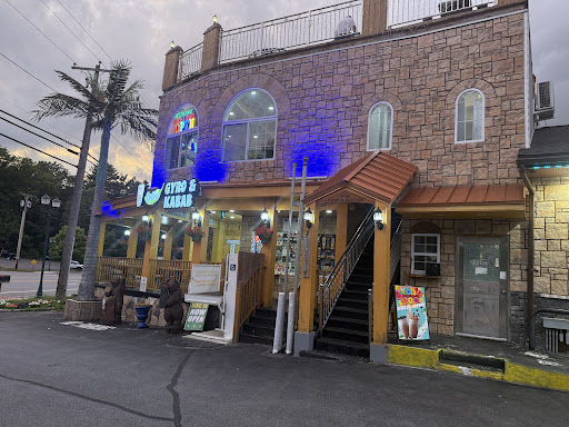 Photo of Spice Gyro and Kabob - 2096 US-9, Lake George, NY 12845