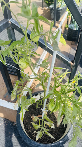 Photo of Spice & Beyond Grill - 461 Troy-Schenectady Rd, Latham, NY 12110