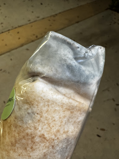 Photo of Mint Beirut - 4249 W Flagler St, Coral Gables, FL 33134