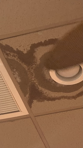 Photo of Tropical Smoothie Cafe - 3795 Tamiami Trl E, Naples, FL 34112