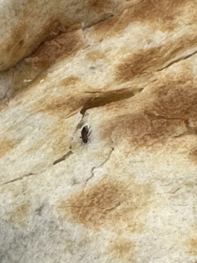 Photo of Tropical Smoothie Cafe - 3795 Tamiami Trl E, Naples, FL 34112