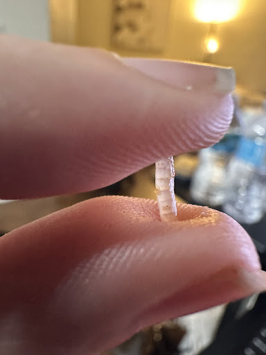 Photo of CAVA - 5930 Red Bug Lake Rd, Winter Springs, FL 32708