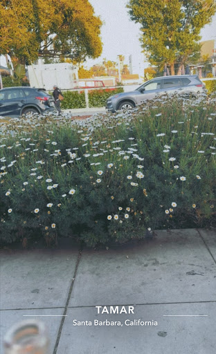 Photo of Tamar - 121 E Yanonali St, Santa Barbara, CA 93101