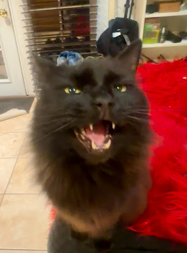 Photo of Shawarma Gyro Mediterranean inc - 5217 Laurel Canyon Blvd, Valley Village, CA 91607