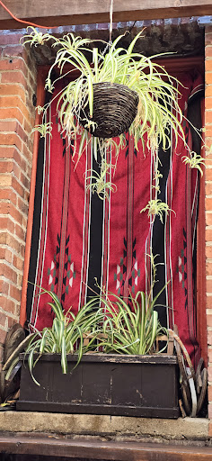 Photo of PETRA CAFE - 14 E Cota St, Santa Barbara, CA 93101