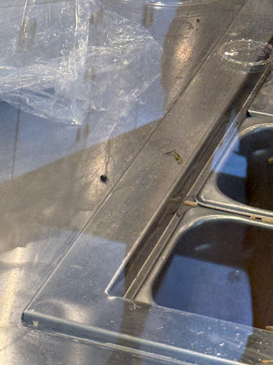 Photo of CAVA - 1129 Savannah Hwy, Charleston, SC 29407