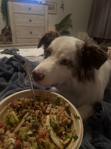 Photo of CAVA - 1129 Savannah Hwy, Charleston, SC 29407