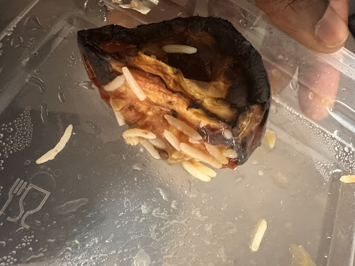 Photo of The Palace Kebab - 430 E 25th St Suite 22, Tacoma, WA 98421