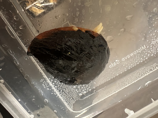 Photo of The Palace Kebab - 430 E 25th St Suite 22, Tacoma, WA 98421