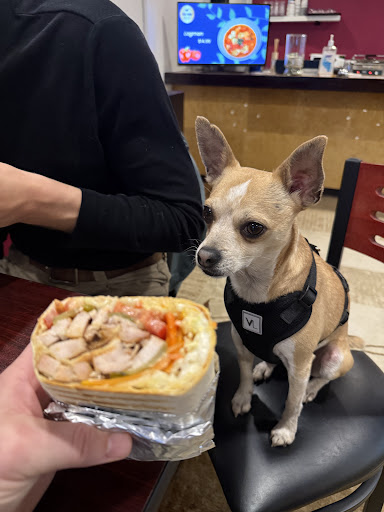 Photo of Pal-Man Kitchen - 1727 S 316th St, Federal Way, WA 98003