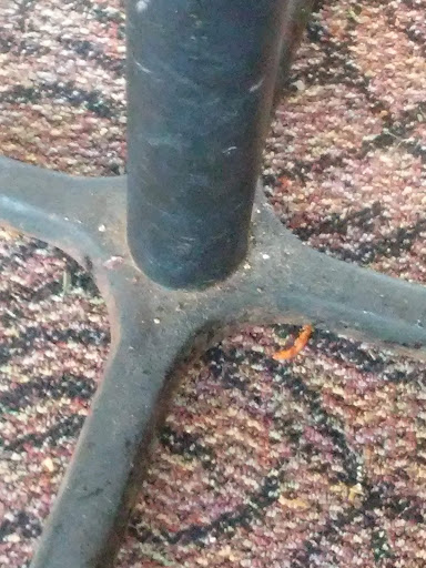 Photo of Arby's - 810 Pokegama Ave, Grand Rapids, MN 55744