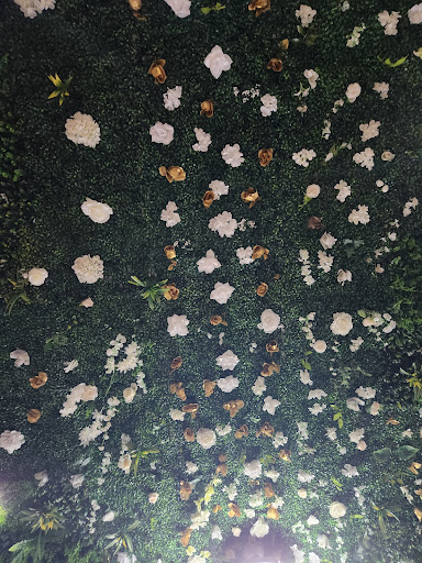 Photo of Jolloff Etcetera - 7463 Annapolis Rd, Landover Hills, MD 20784