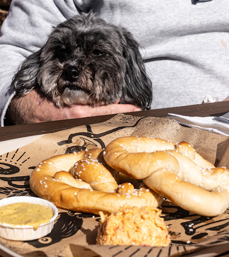 Photo of Fireforge Crafted Beer - 311 E Washington St, Greenville, SC 29601