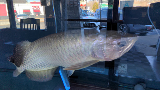 Photo of Nagoya - 225 By-pass 72 NW, Greenwood, SC 29649