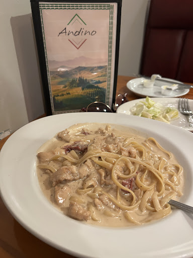 Photo of Andino Italian & Andean Restaurant & Bar - 101 Brookwood Dr, Greer, SC 29651