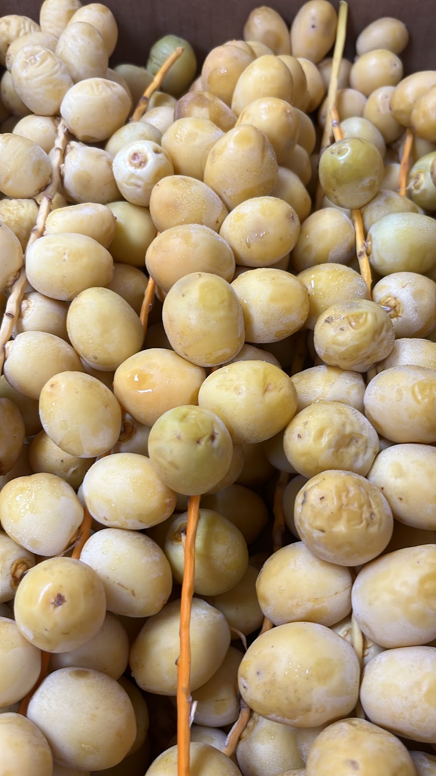 Photo of Alsalam Market Halal restaurant - 201 Ring Rd Suite 10, Ridgeland, MS 39157