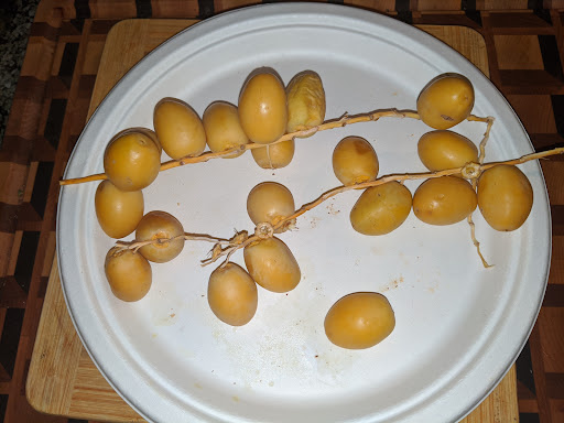 Photo of Mediterranean Grocery - 8601 Blondo St, Omaha, NE 68134