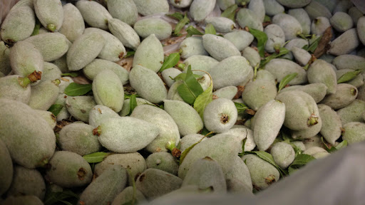 Photo of AWS'S Mediterranean Market - 7213 Apple Valley, Windsor Heights, IA 50324