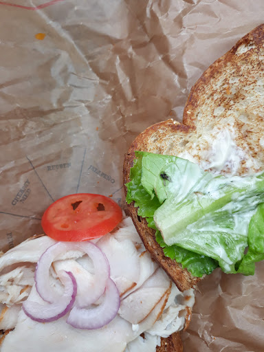 Photo of Arby's - 1551 Gulf Shores Pkwy, Gulf Shores, AL 36542