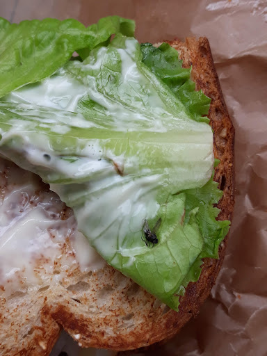 Photo of Arby's - 1551 Gulf Shores Pkwy, Gulf Shores, AL 36542