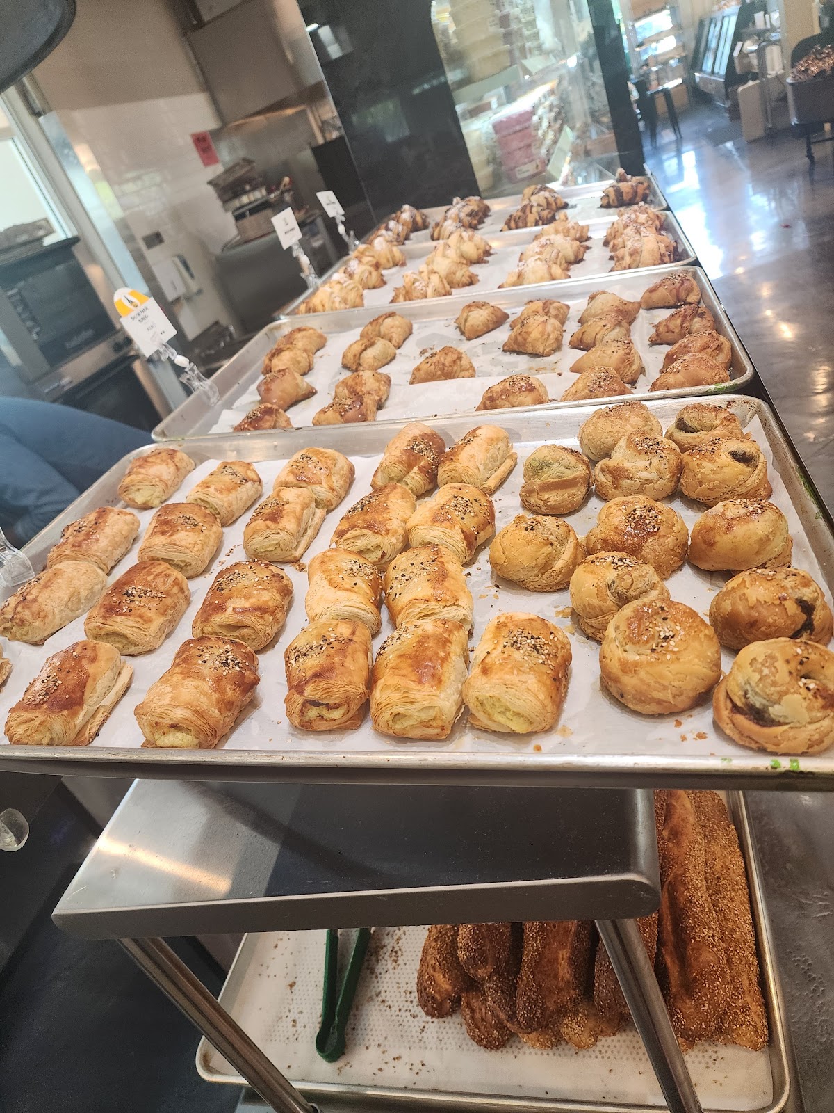 Photo of Shlomi's Hummus Hallandale - 1002 E Hallandale Beach Blvd, Hallandale Beach, FL 33009