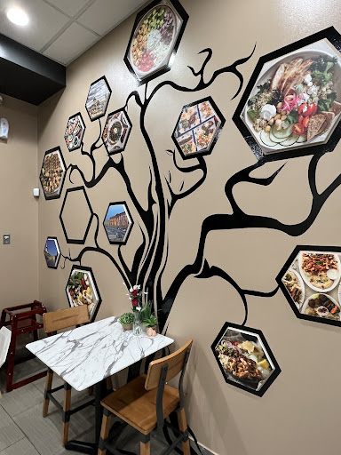 Photo of Olive Tree Mediterranean Cuisine - 503 Village Center Dr, Burr Ridge, IL 60527