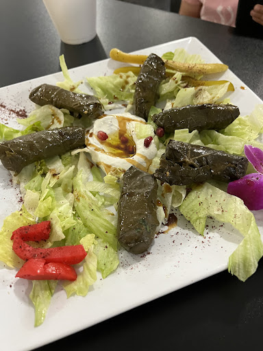 Photo of Mediterranean Fresh Grill - Across From Legoland In Publix Shopping Ctr, 6035 Cypress Gardens Blvd, Winter Haven, FL 33884