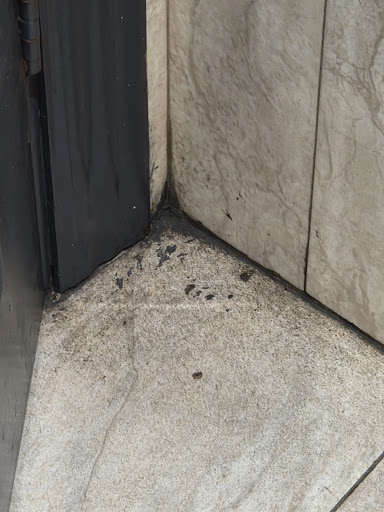 Photo of Zahid Nihari - 948 S Barrington Rd, Streamwood, IL 60107