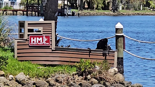 Photo of Florida Cracker Monkey Bar - 5297 S Cherokee Way, Homosassa, FL 34448
