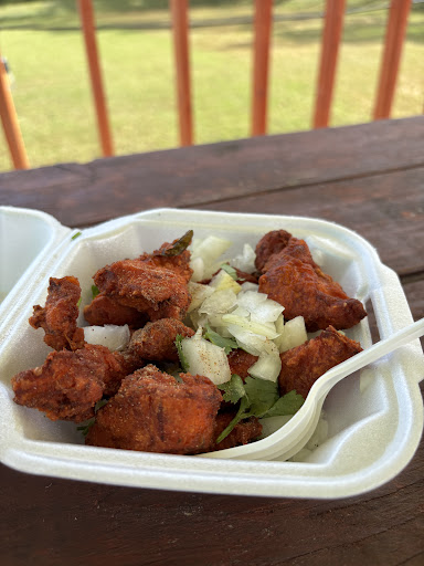 Photo of Helo India Food Truck - 5524 Van Dyke Rd, Lutz, FL 33558