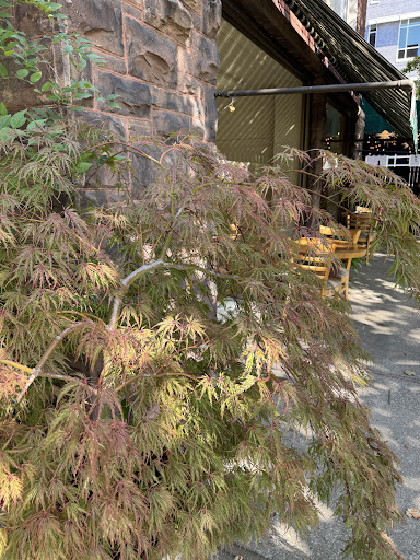 Photo of Moosewood - 215 N Cayuga St, Ithaca, NY 14850