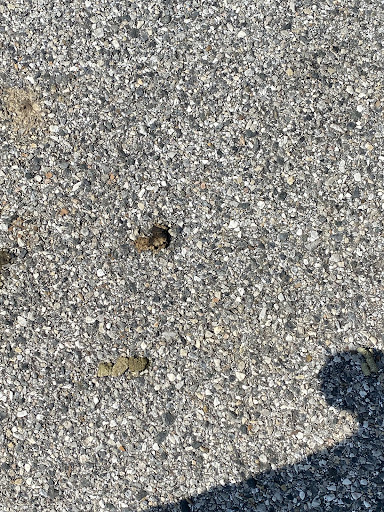 Photo of HALAL GYRO - 8459-8699 Town Center Ct, Nottingham, MD 21236