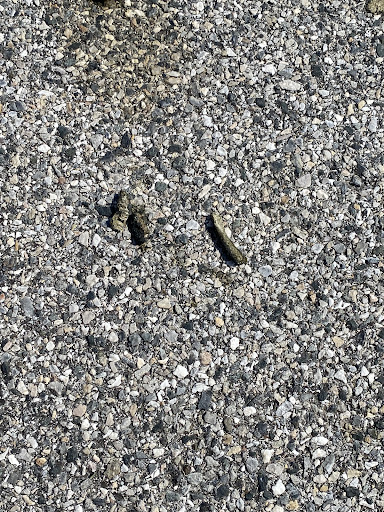 Photo of HALAL GYRO - 8459-8699 Town Center Ct, Nottingham, MD 21236