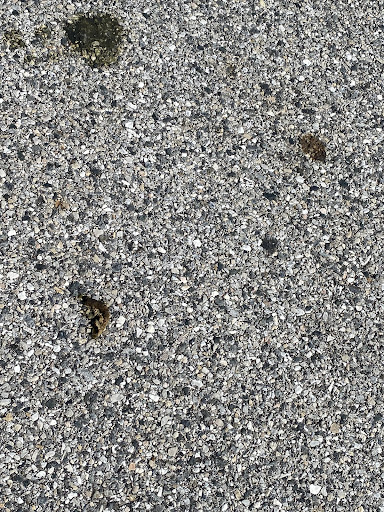 Photo of HALAL GYRO - 8459-8699 Town Center Ct, Nottingham, MD 21236