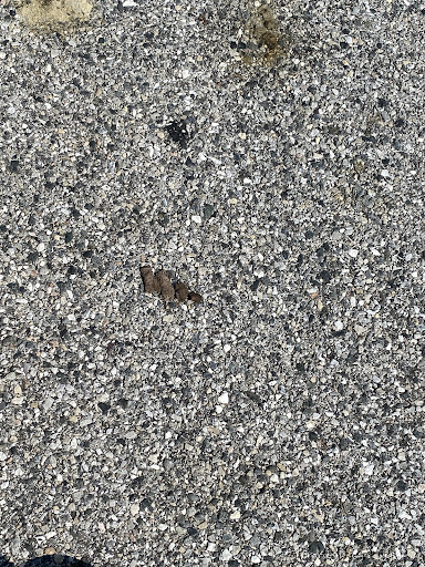 Photo of HALAL GYRO - 8459-8699 Town Center Ct, Nottingham, MD 21236