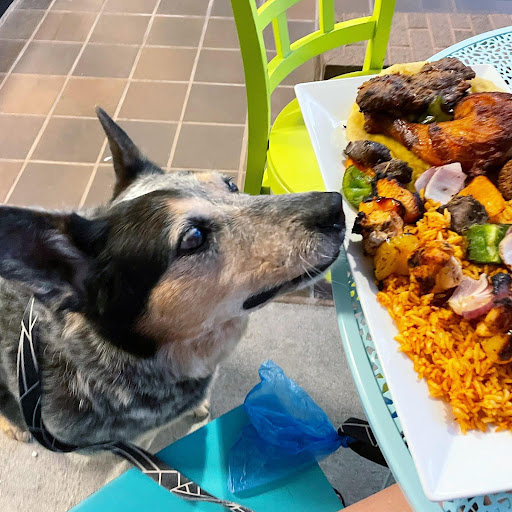 Photo of Maryam's Grill Mediterranean Restaurant - 323 Center St, Little Rock, AR 72201