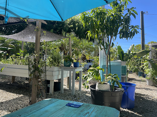 Photo of Seaside Eatery - 99900 Overseas Hwy, Key Largo, FL 33037