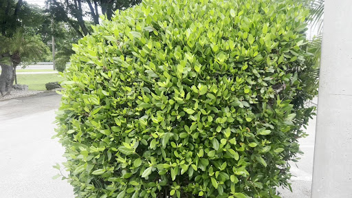 Photo of Seaside Eatery - 99900 Overseas Hwy, Key Largo, FL 33037