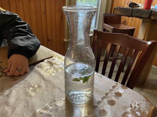 Photo of Garden House - 4 Hardenburgh Ln, Rosendale, NY 12472