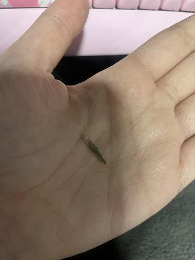 Photo of The Canning House - 900 Rutter Ave, Forty Fort, PA 18704