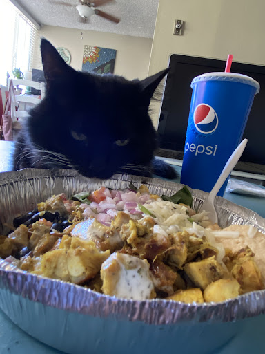 Photo of The Halal Shack - East Commons, Campanile Dr, San Diego, CA 92182