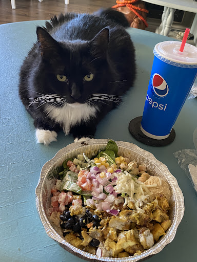 Photo of The Halal Shack - East Commons, Campanile Dr, San Diego, CA 92182