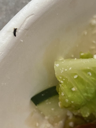 Photo of Rachel's Mediterranean Grill - 3860 McKinley Pkwy Suite 280, Blasdell, NY 14219